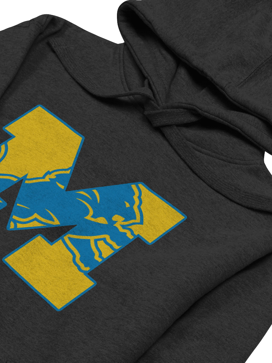 Michigan Lions Hoodie product image (2)
