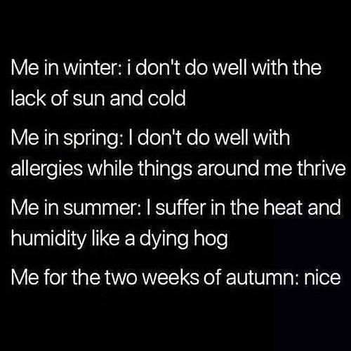 #writing #amwriting #writingcommunity #writersofig #authorsofinstagram #igwriters #queerwriters #authorlife