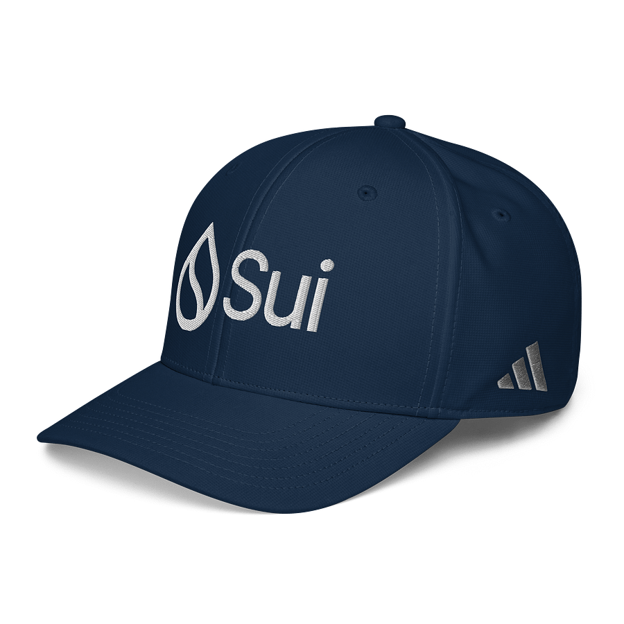 Adidas/Sui Cap product image (2)