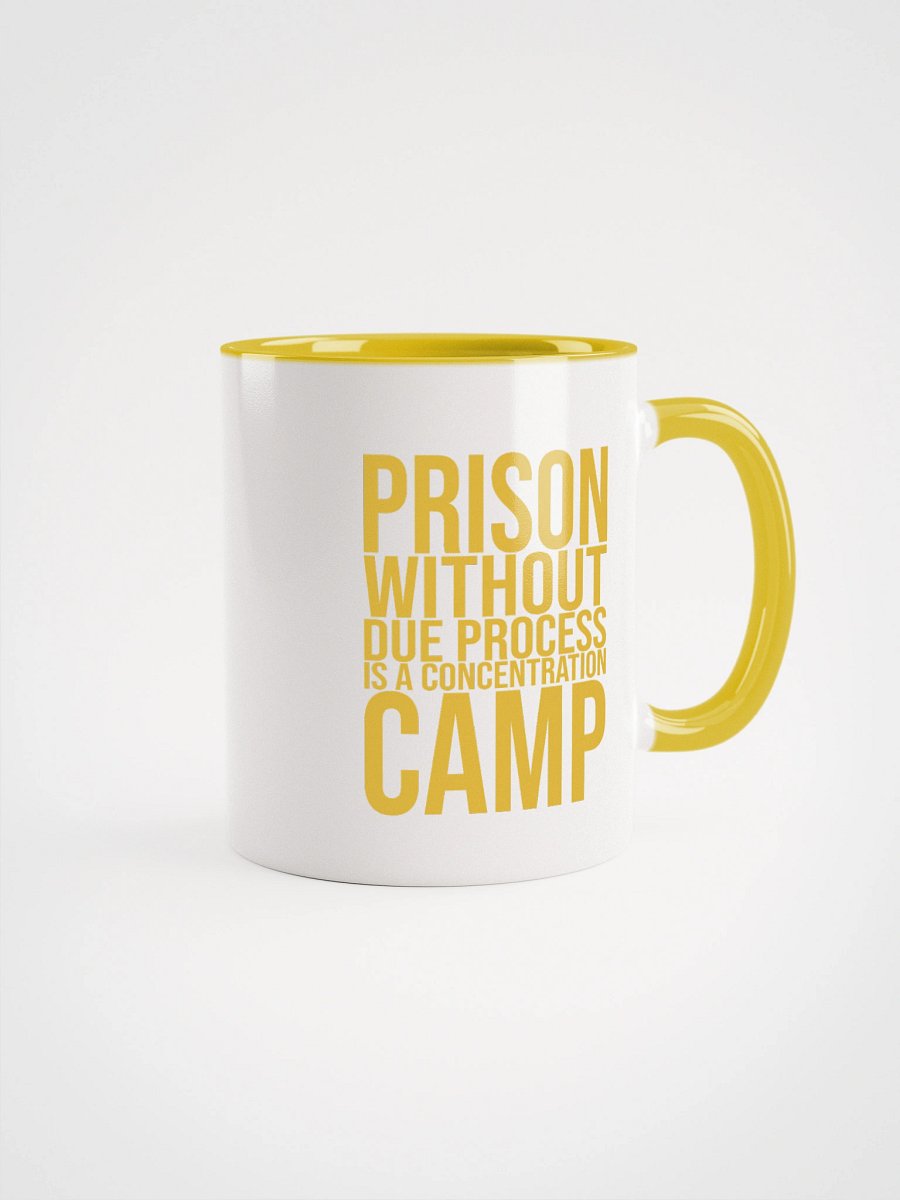 Due Process Concentration Camp Mug- Being Liberal product image (1)