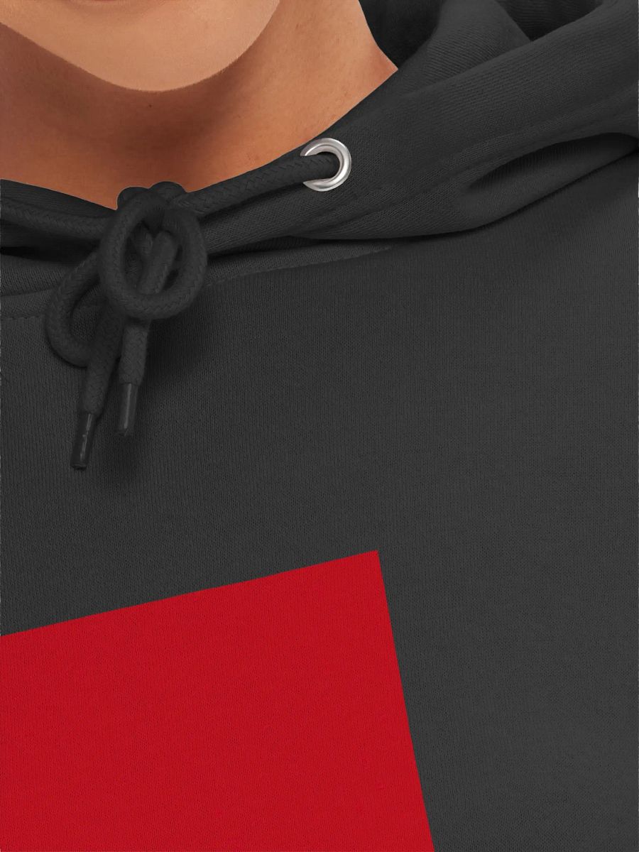 Coca-Cola Red Script Hoodie product image (49)