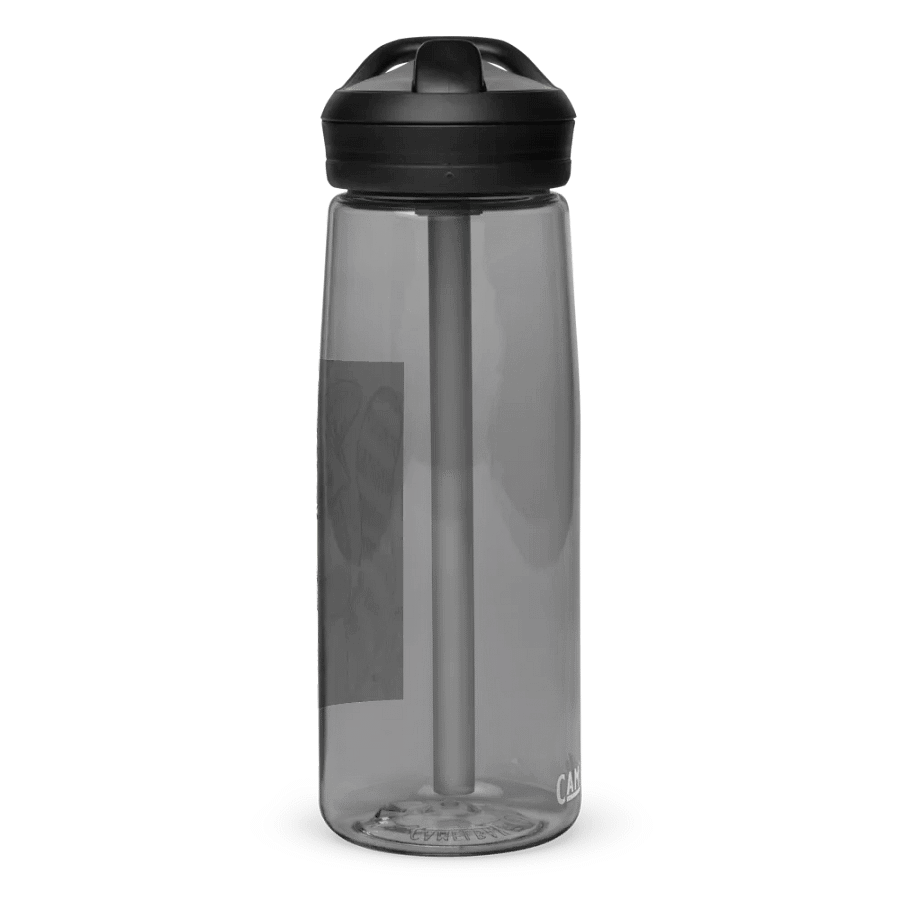 Wild Guides - Racoon product image (2)
