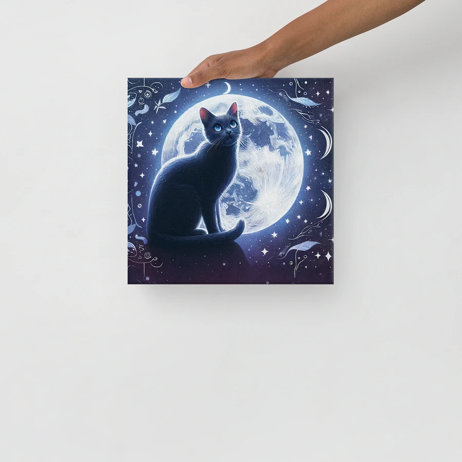 Canvas (in): Black Cat product image (13)