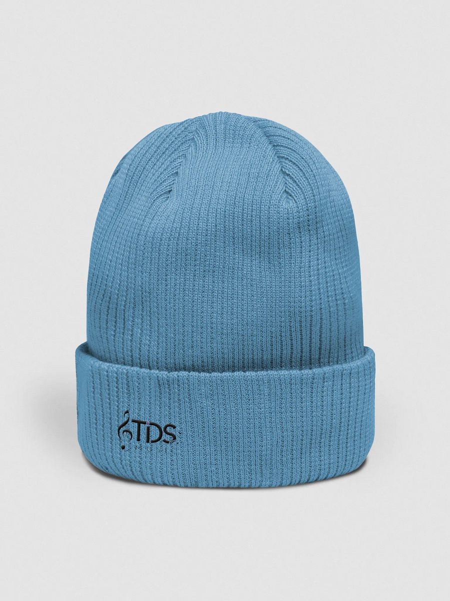 Atlantis Organic Ribbed Beanie - TDS Embroidered Beanie in Maroon, Light Blue, Black, Mustard, Navy, and Olive Green product image (4)