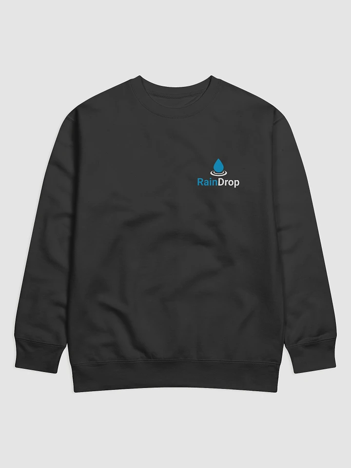RainDrop Sweatshirt product image (1)