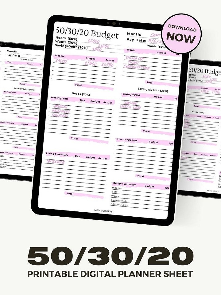 Printable Digital 50/30/20 Budget Planner | Budget Planner | 1 Page | Printable | Paycheck Planner | PDF File product image (1)