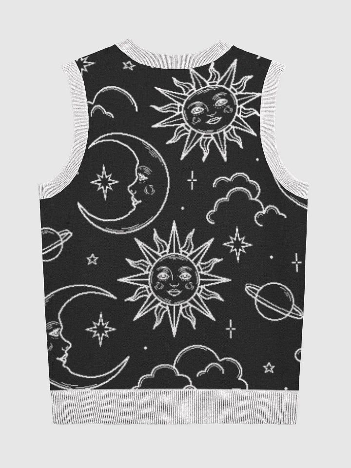 sweater vest-L product image (4)