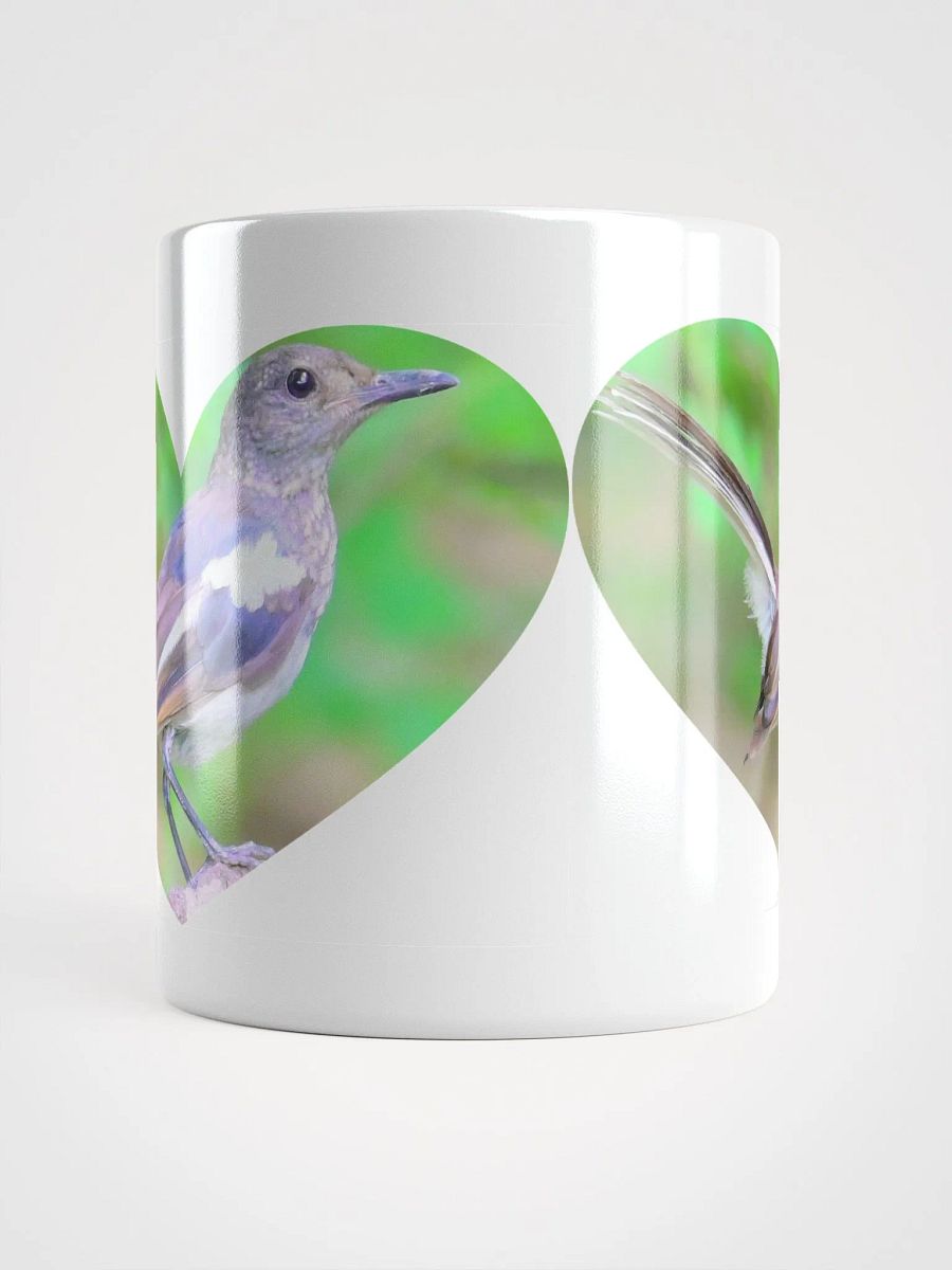 IUCAA Birds WHITE MUG product image (13)