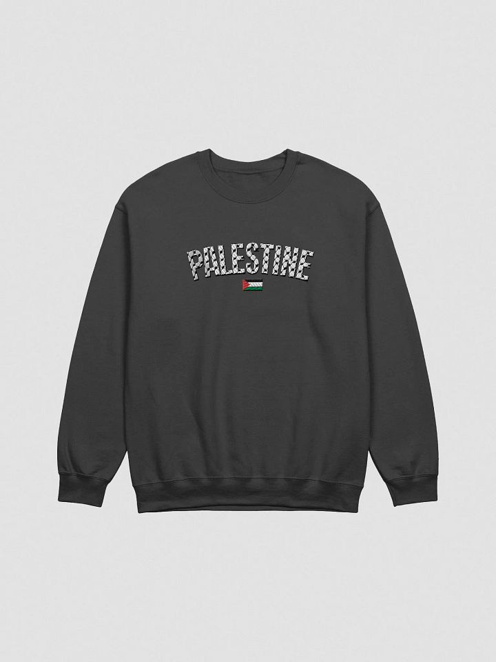 Palestine Sweater- Embroidered product image (1)