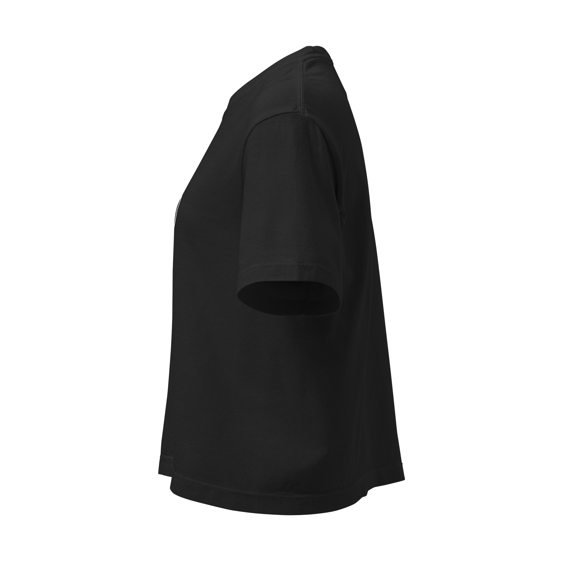 It's Not Just a Phase- Non Binary Shirt product image (3)