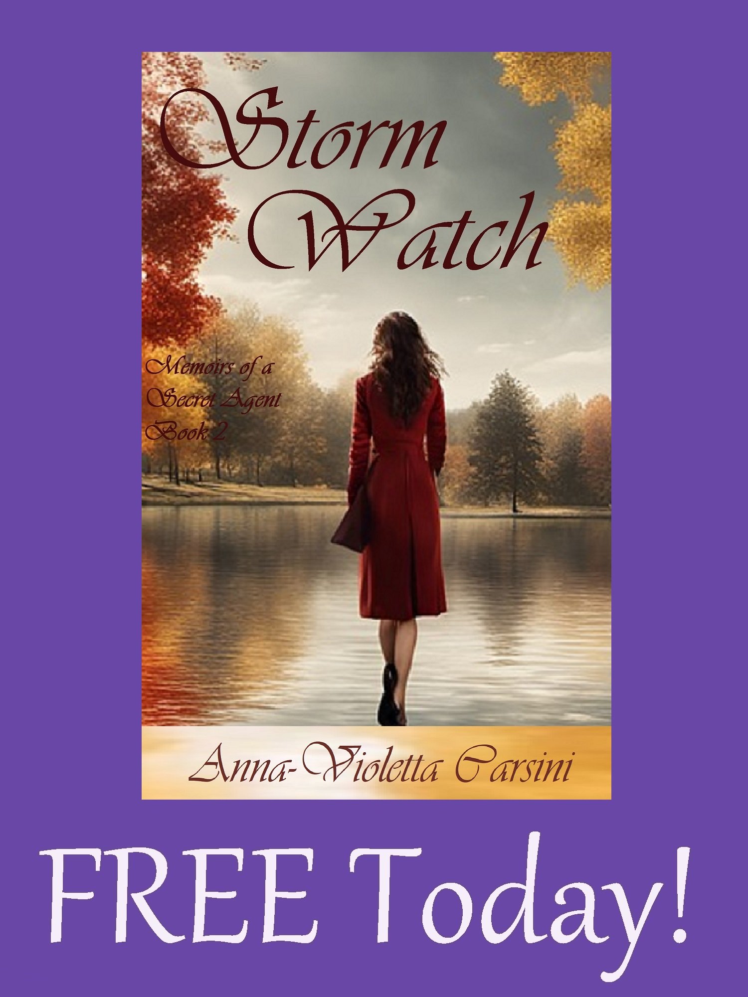 Storm Watch EBOOK - FREE TODAY! product image (1)