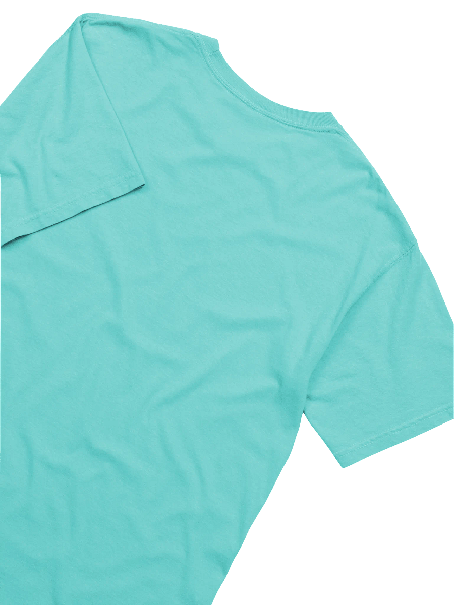 Fowl Language Comfort Colors Garment-Dyed Heavyweight Tee product image (7)