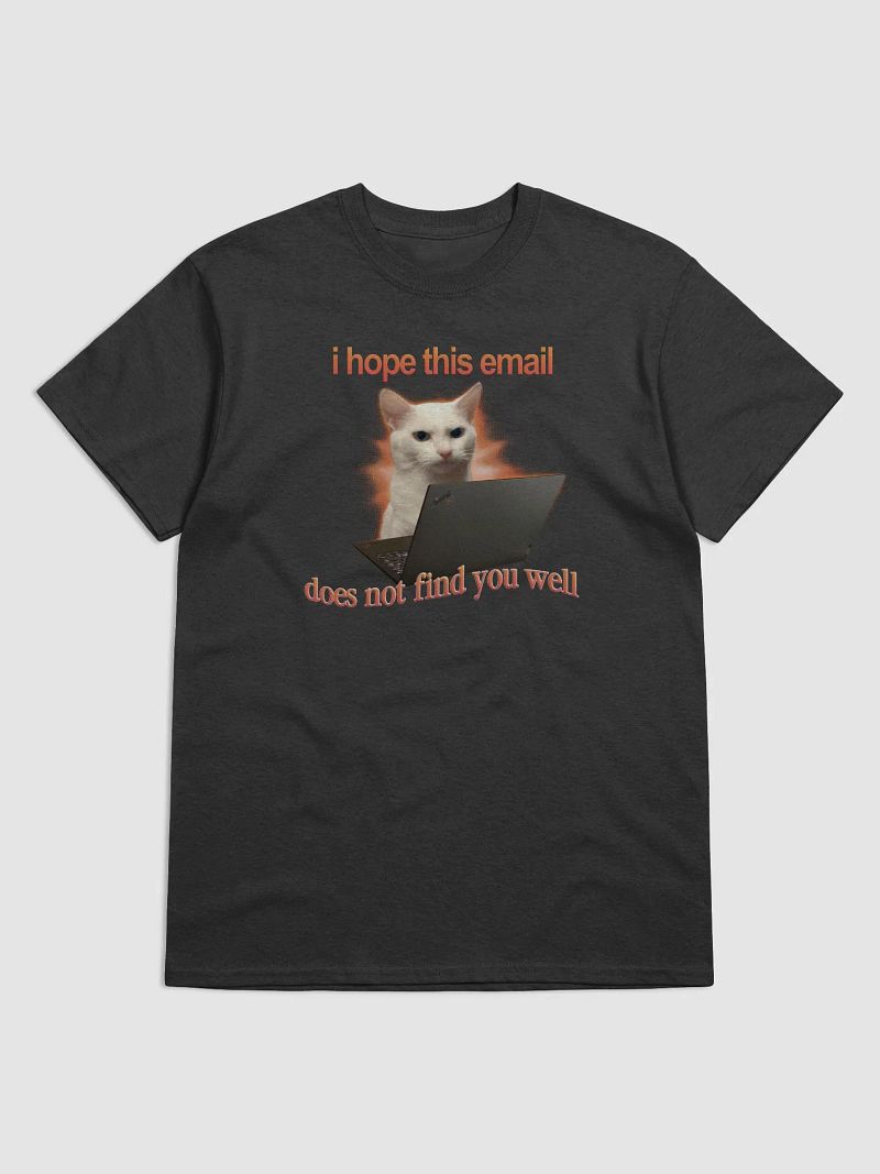 I hope this email does not find you well T-shirt