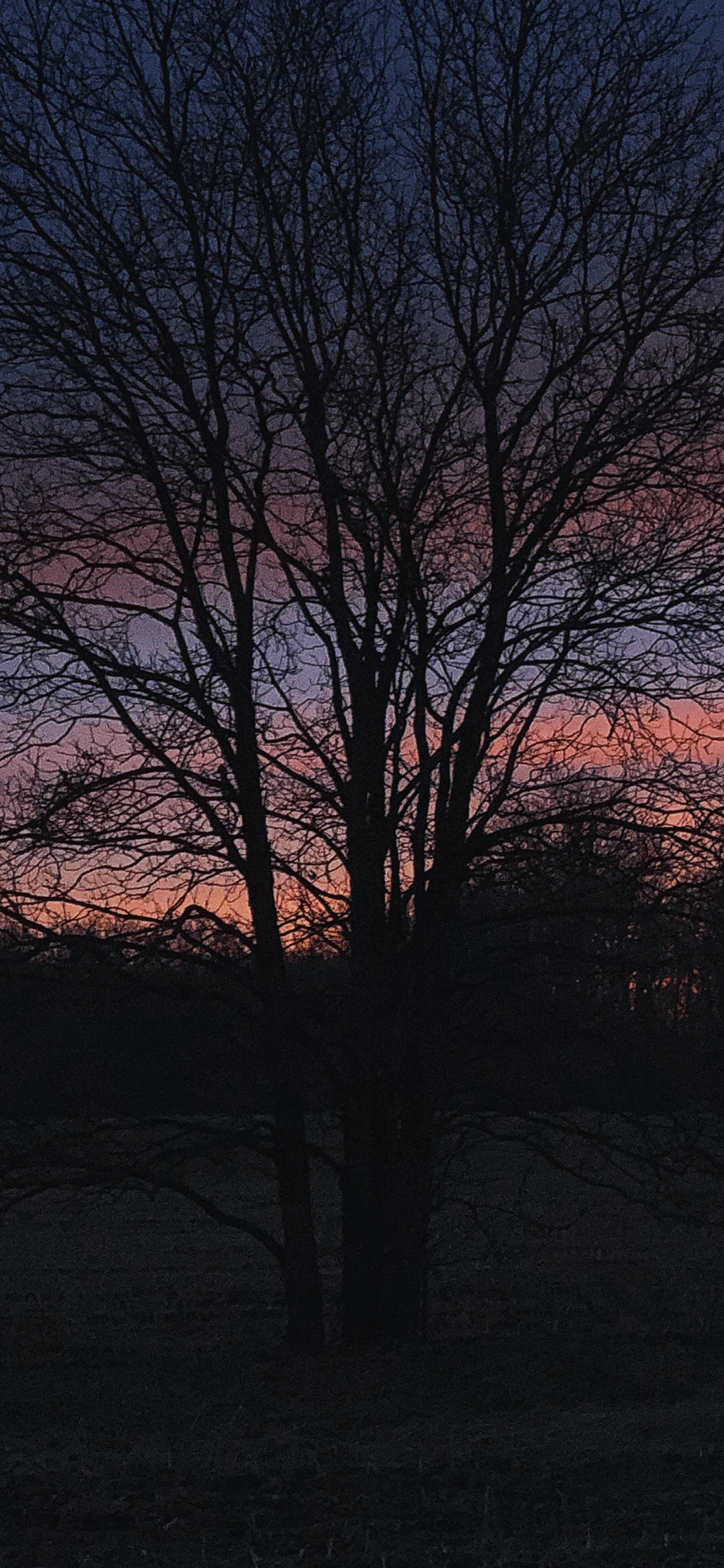 Dusk Phone Background product image (1)