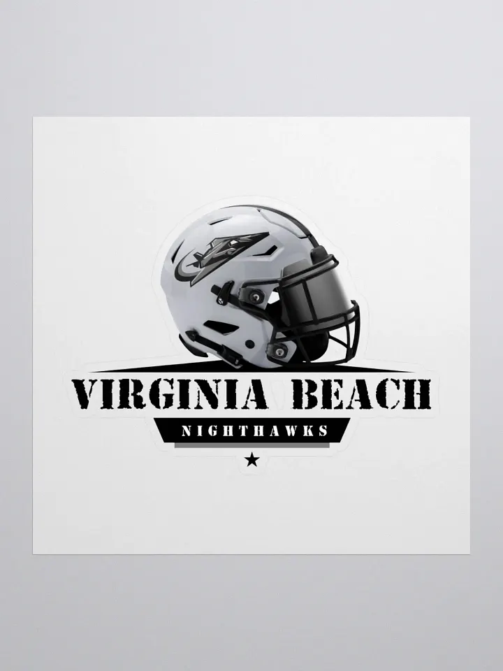 Virginia Beach Nighthawks Stickers product image (1)