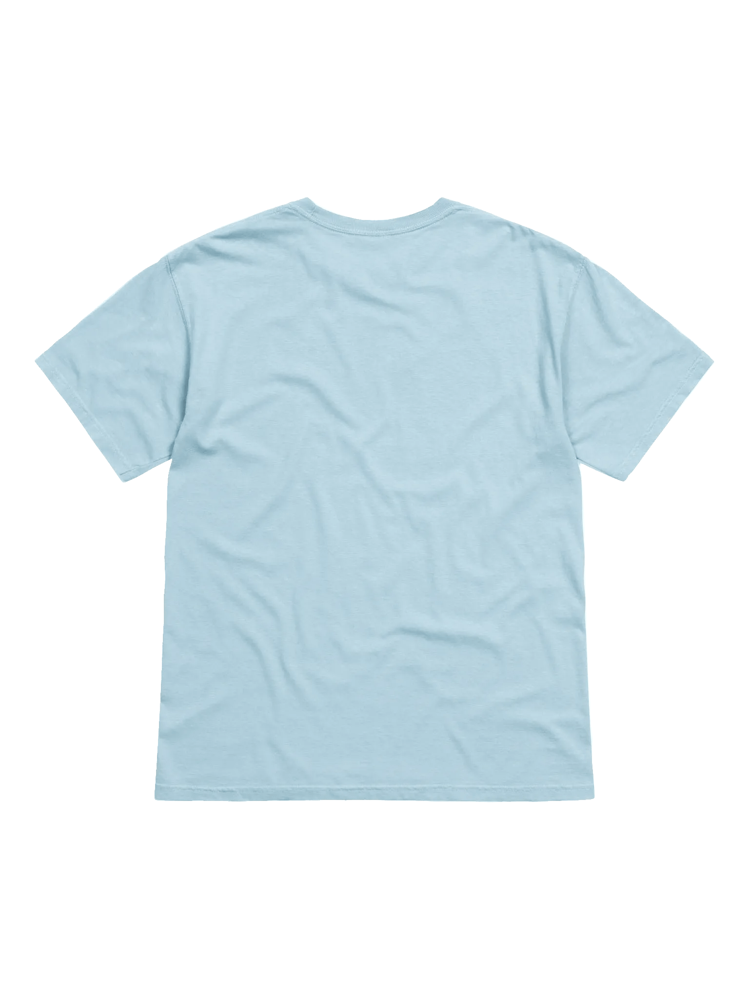 America Needs ANP (Color) - Heavy T product image (4)
