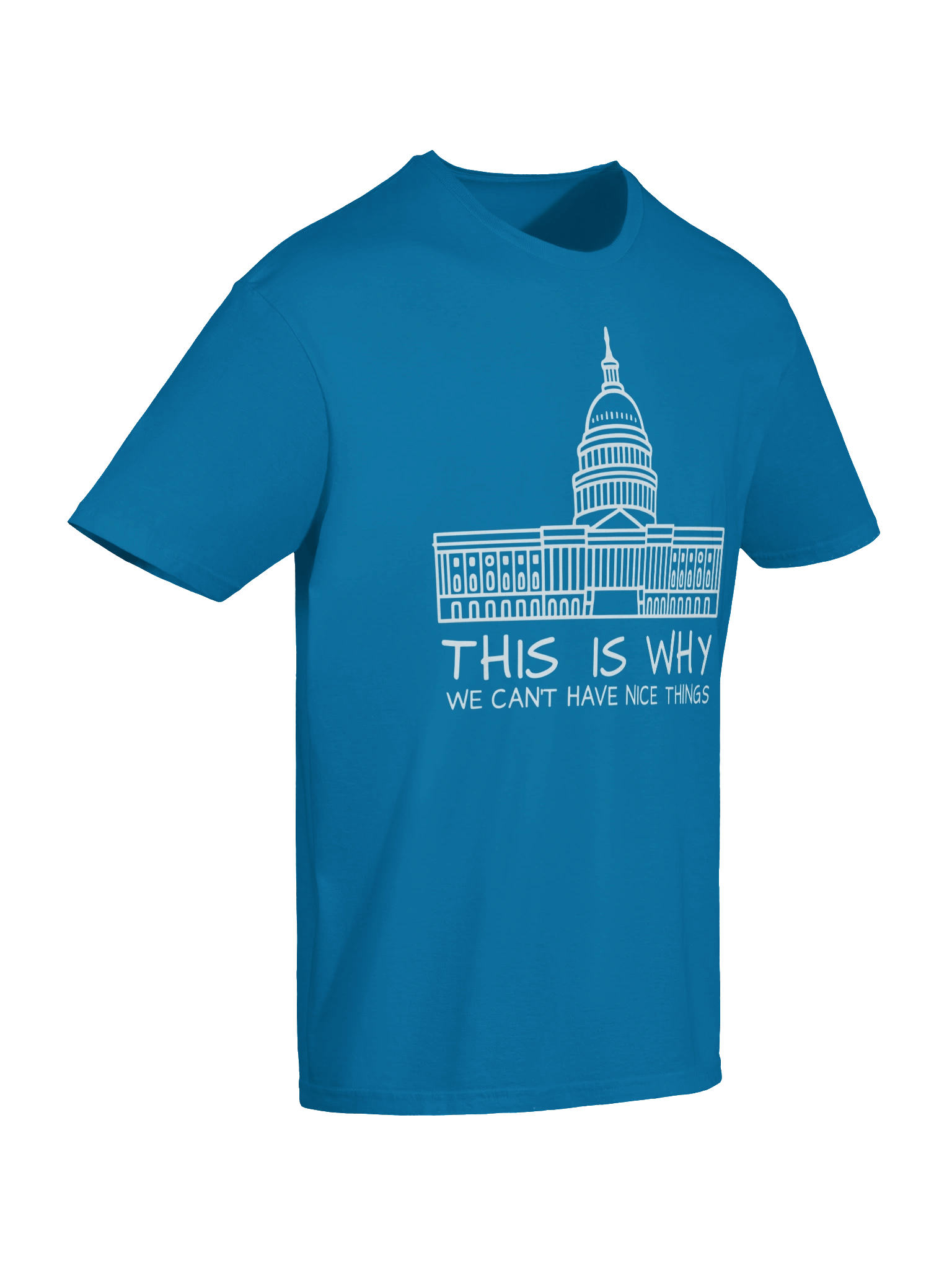 This Is Why We Can’t Have Nice Things T-Shirt product image (7)