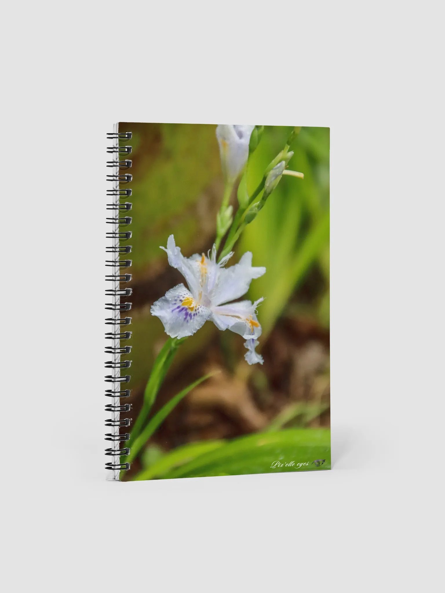 📘 Notebook Collection PURE – Jardin du Rayol – Iris papillon product image (1)