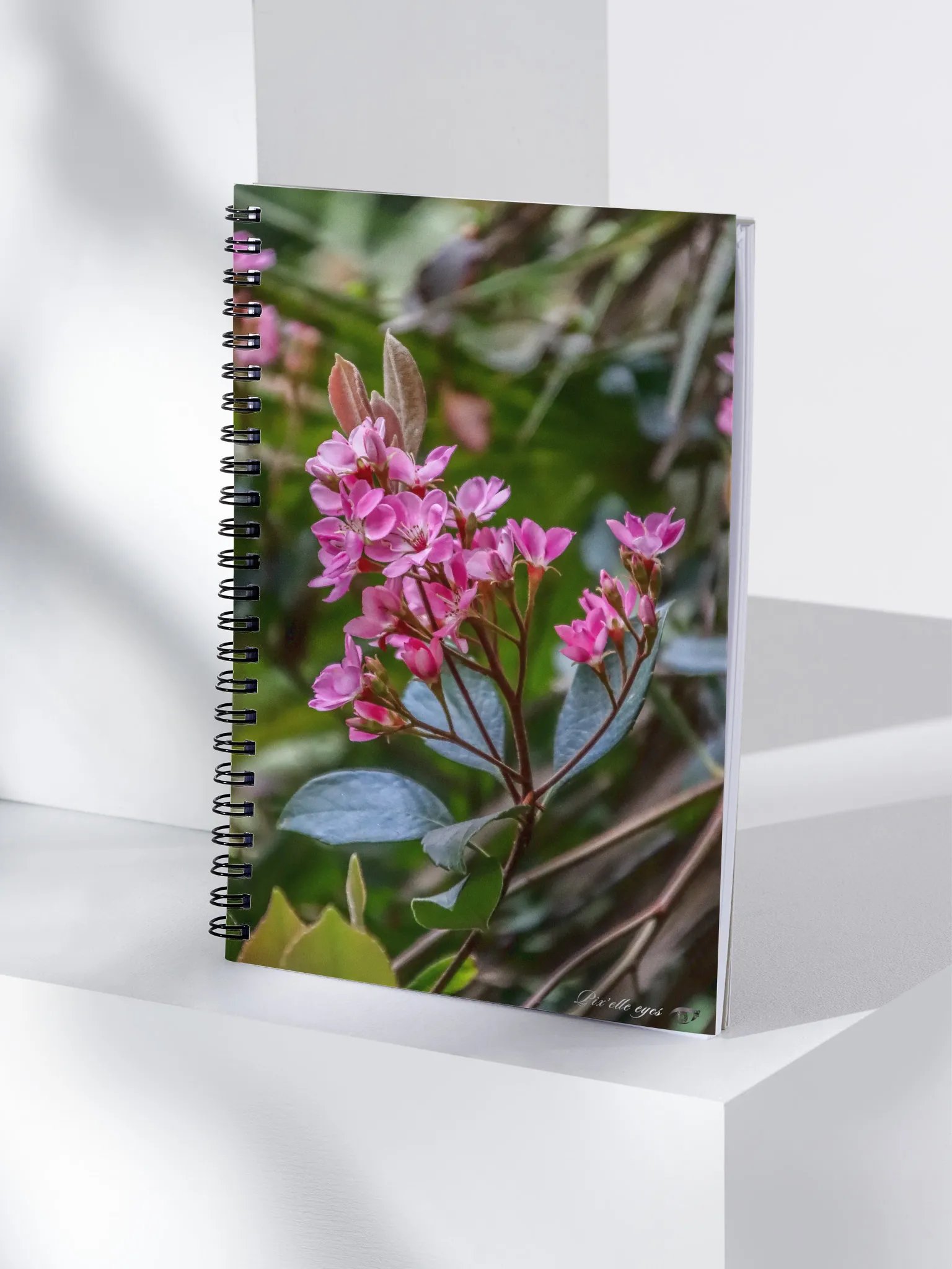 📓 Notebook Collection PURE – Jardin du Rayol – Rhaphiolepis Indica product image (4)