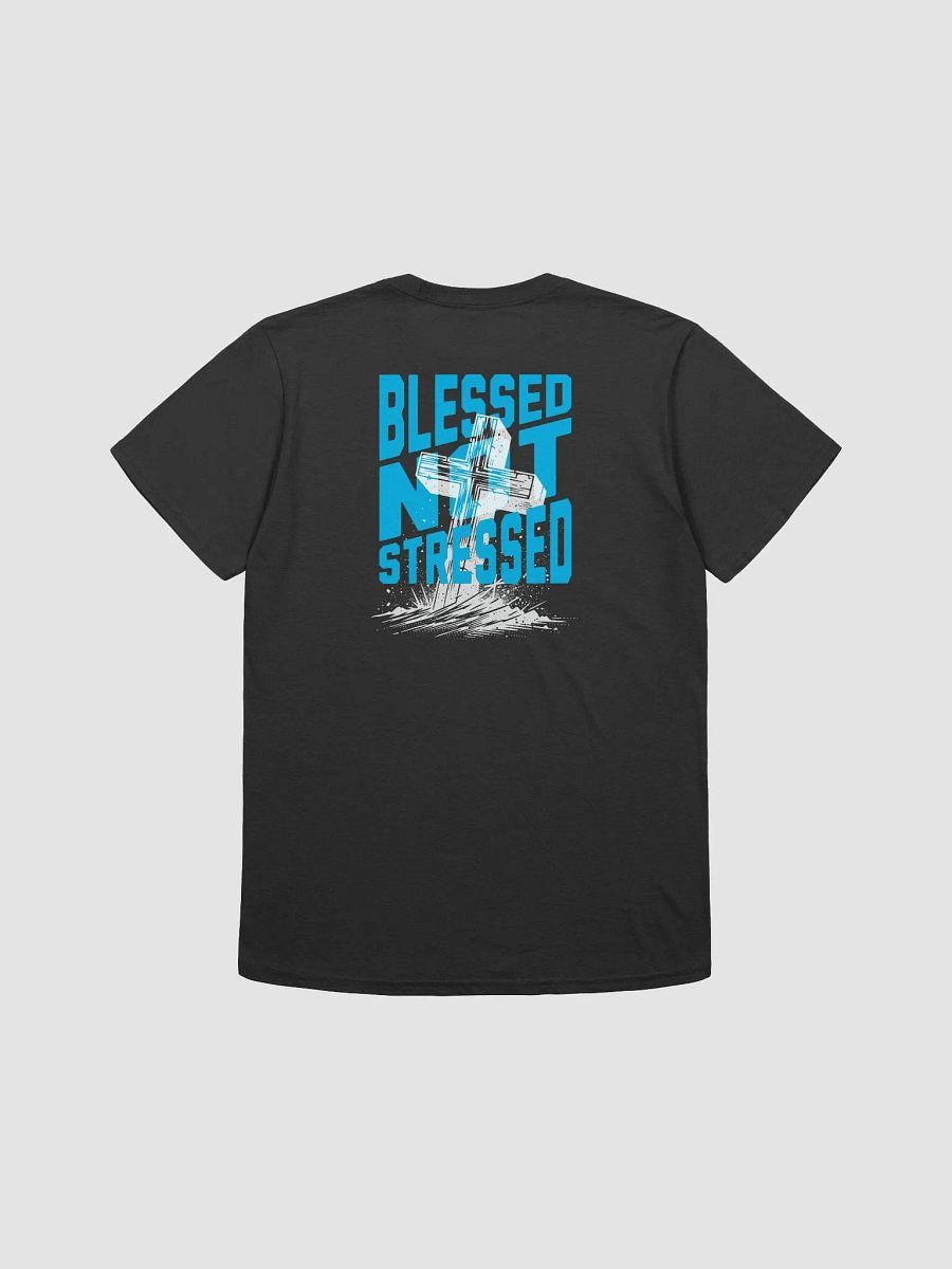 BLESSED NOT STRESSED LIGHT TEE product image (13)