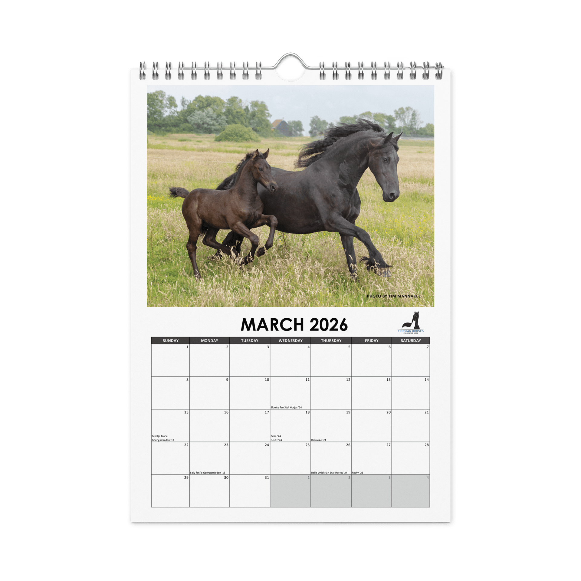 Friesian horses 2026 Wall Calendar product image (9)