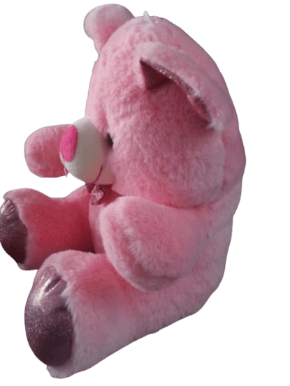 TEDDY BEAR product image (5)