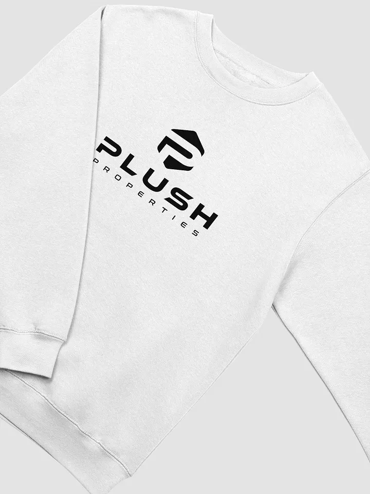 Plush Premium Crewneck Sweatshirt - White/Red/Oatmeal product image (2)