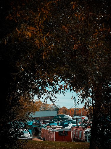 Looking through the #autumn leaves to the #marina #narrowboats #boatlife #narrowboatlife