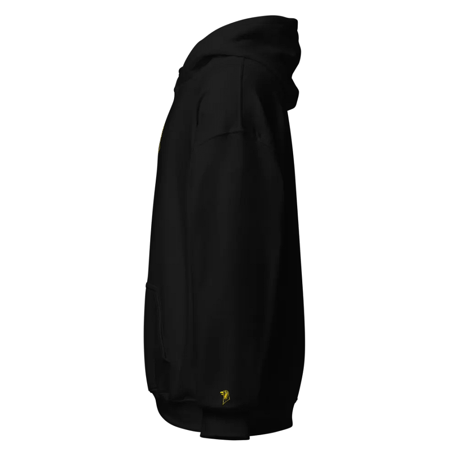 Embroidered Birdmark Hoodie product image (7)