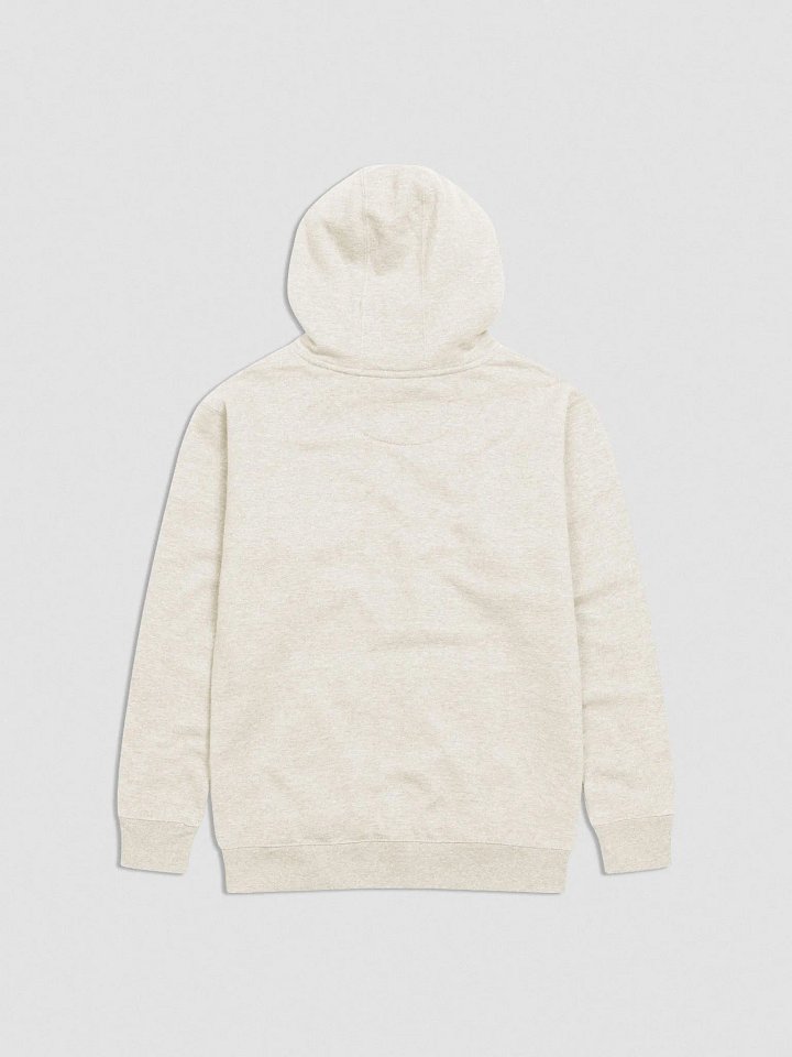 1 OF 1 290 RACE HOODIE product image (2)