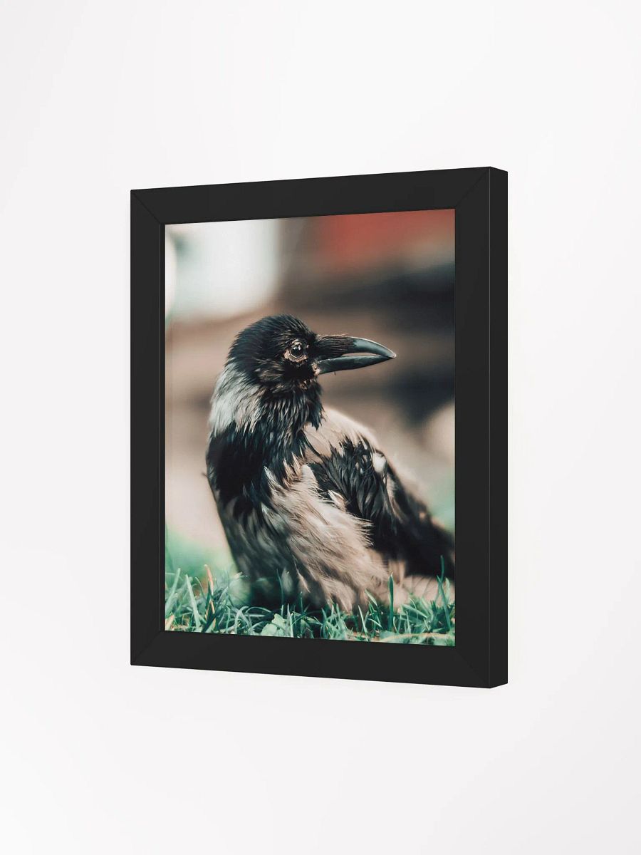 In loving memory of Hafez product image (3)
