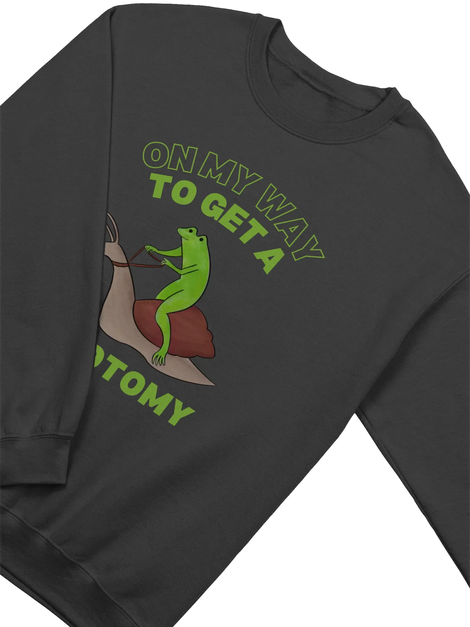 On My Way To Get A Lobotomy Frog On A Snail Sweatshirt product image (2)