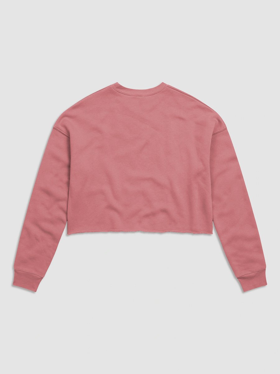R as in riots women`s fleece crop sweatshirt by dark alphabet product image (26)