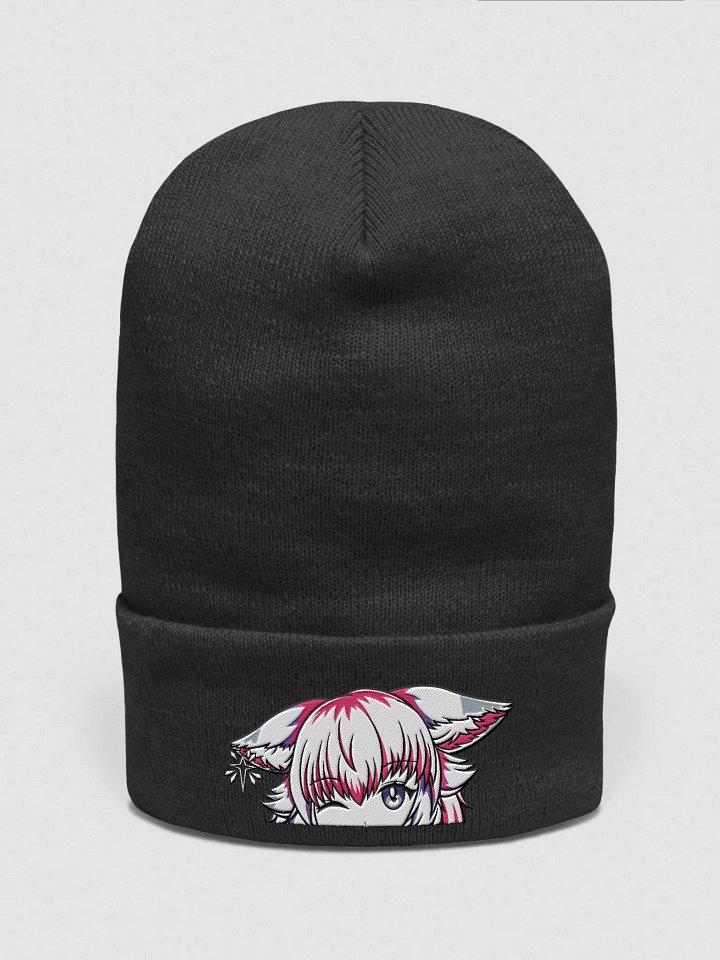 EMBROIDERED beanie product image (1)