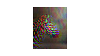 ZEBRA 03 - Q&A mailout and do comments