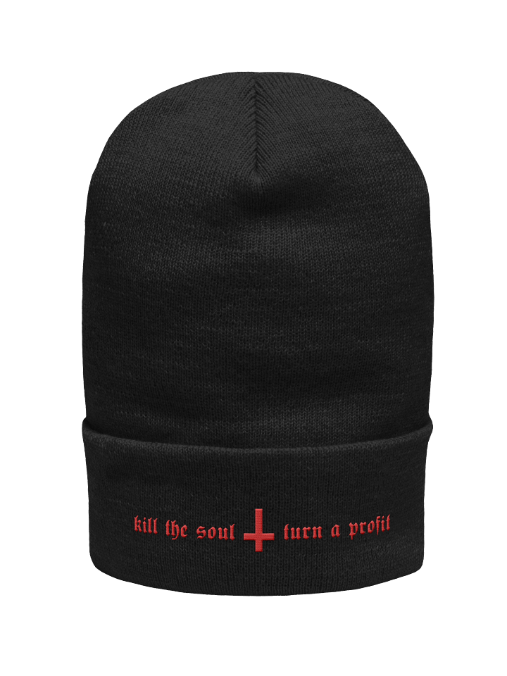 true believer beanie product image (2)
