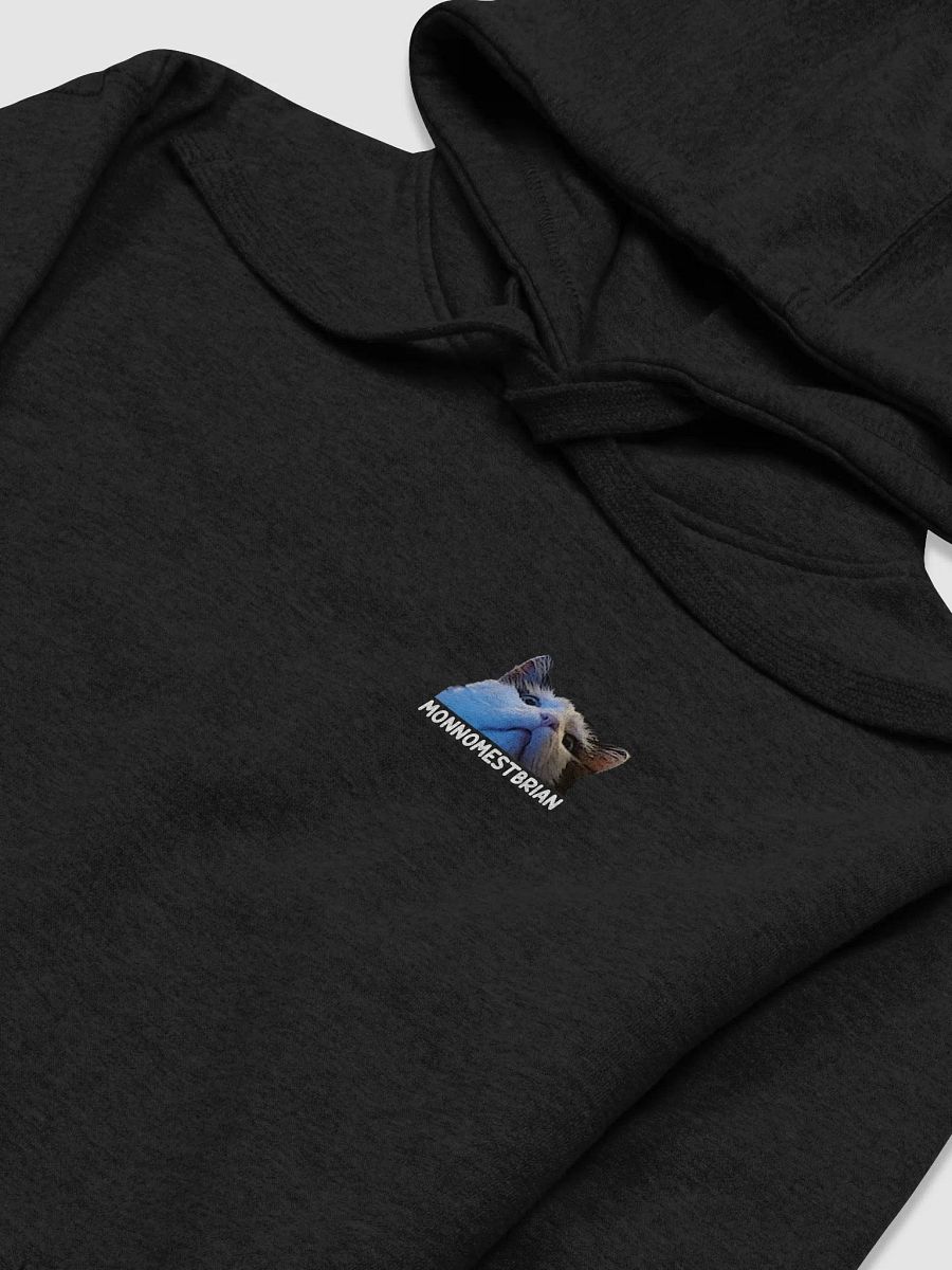HOODIE - MONNOMESTBRIAN - UNISEX product image (2)
