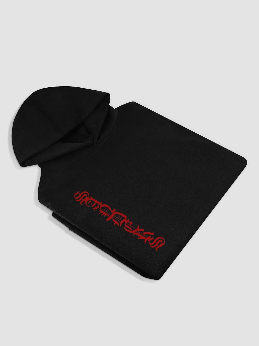SANDERS COLE-METAL HOODIE product image (4)