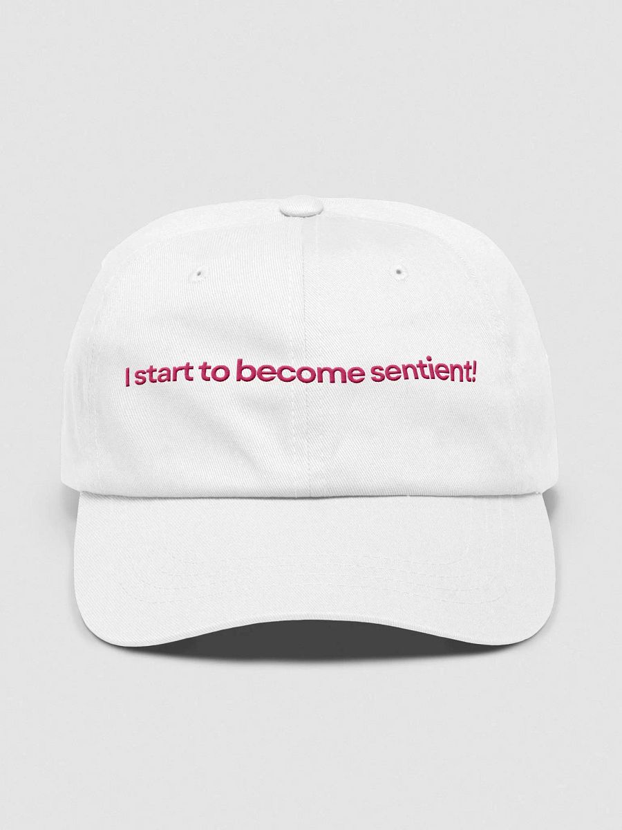 I start to become sentient! | Hat product image (7)