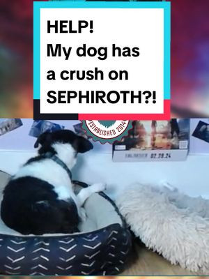 Help My Dog Has a Crush on SEPHIROTH!? #ff7rebirth #Sephiroth #jackrussell 