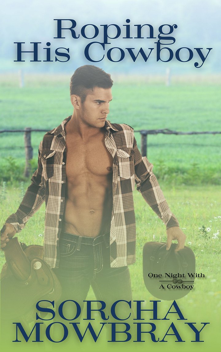 Roping His Cowboy (One Night With A Cowboy, Book 4) product image (2)