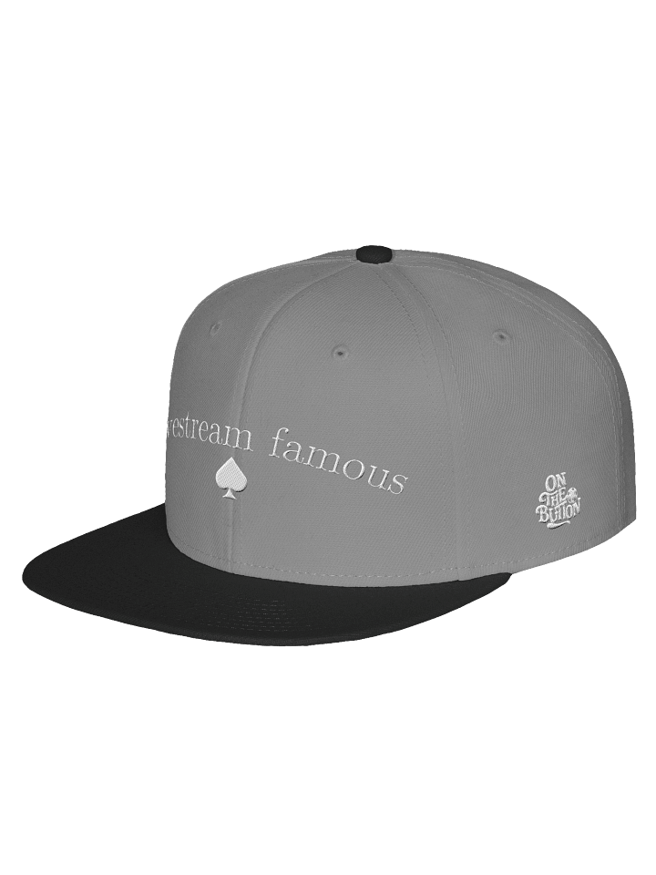 Livestream Famous Flatbill Hat product image (19)
