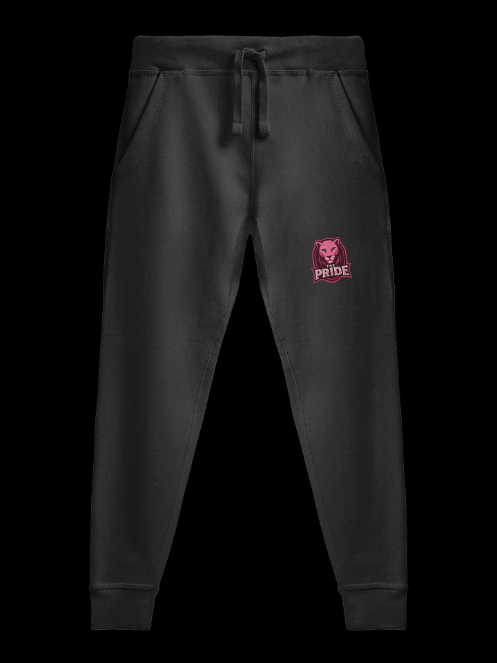 The Pride Sweats product image (3)