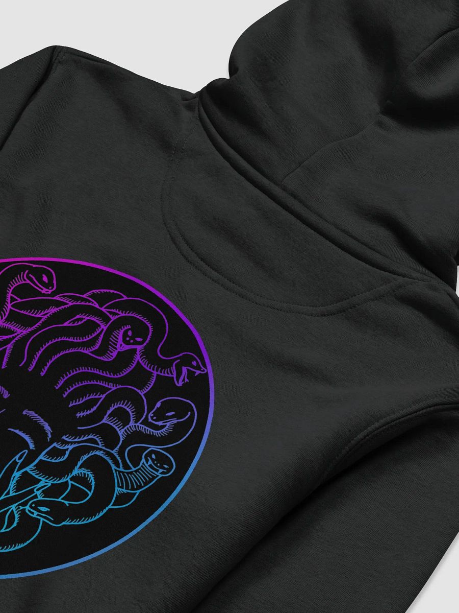 Drakainess Logo Hoodie product image (18)