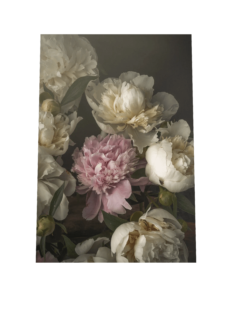 Spring Peonies product image (3)