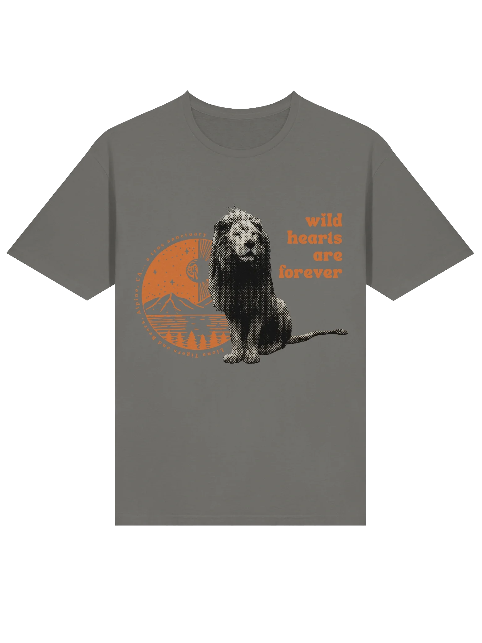 Wild Hearts Soft-style Tee product image (3)