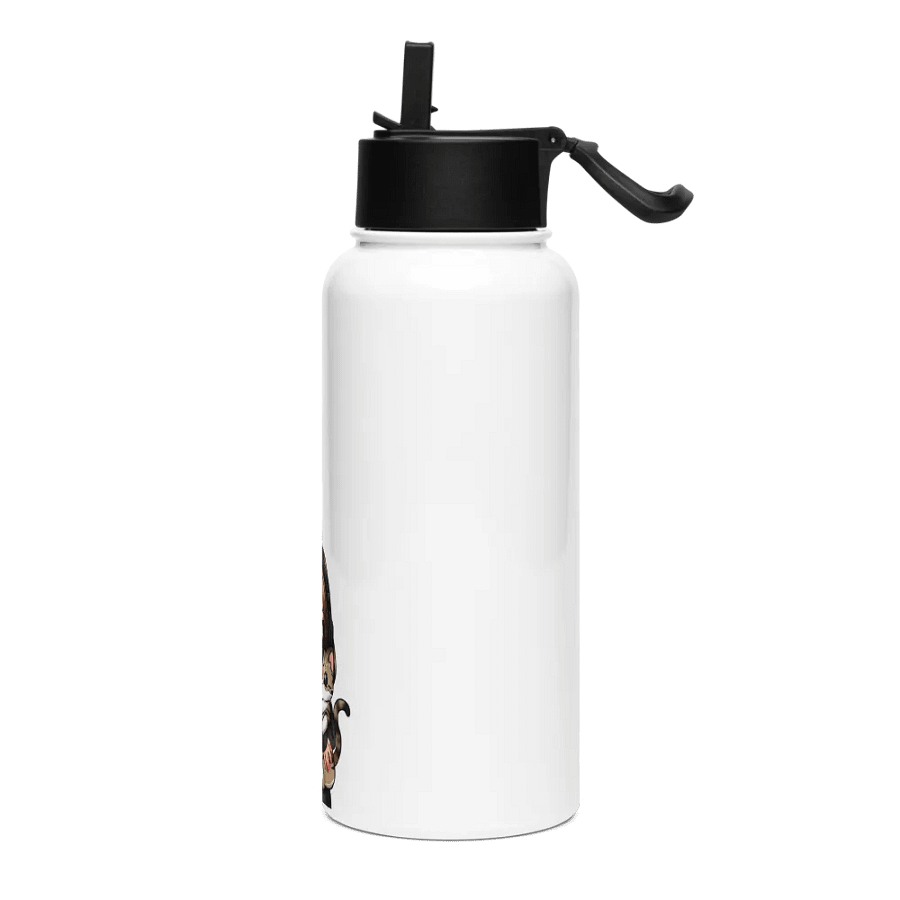 Stainless Steel Water Bottle with Straw Lid and Soof and cats logo product image (3)