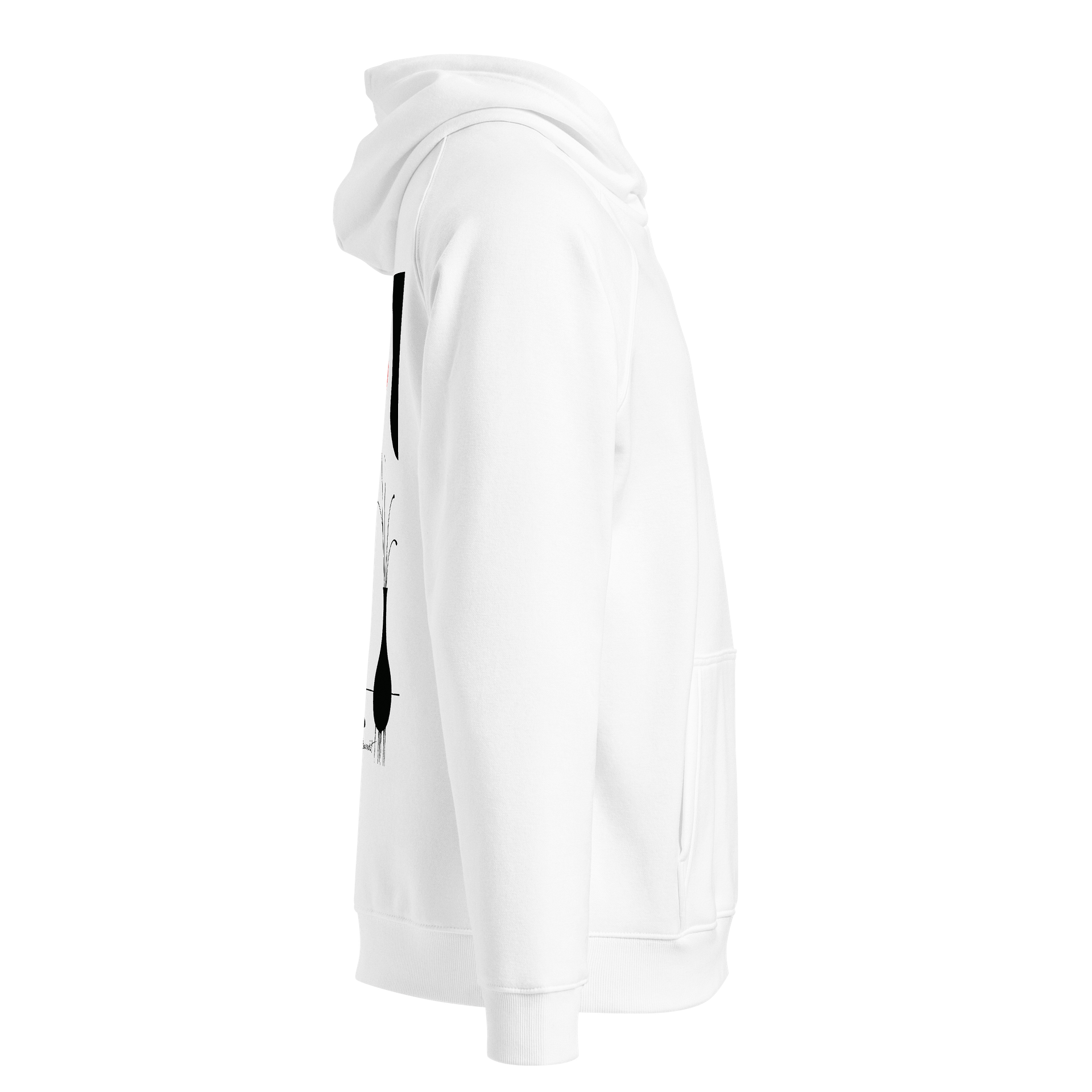 SOL'S Unisex Eco Raglan Hoodie product image (4)