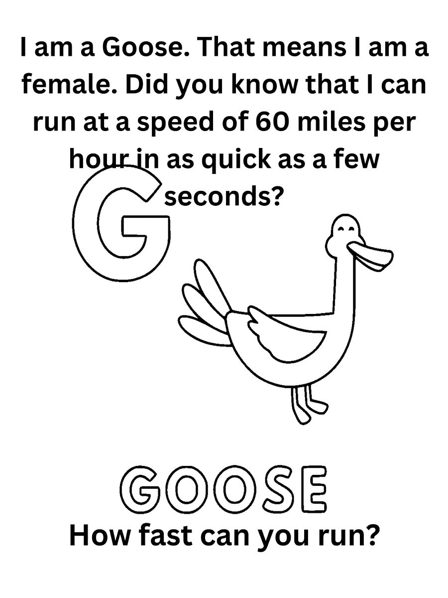 "Did You Know" Animal Facts Alphabet Coloring Pages product image (8)