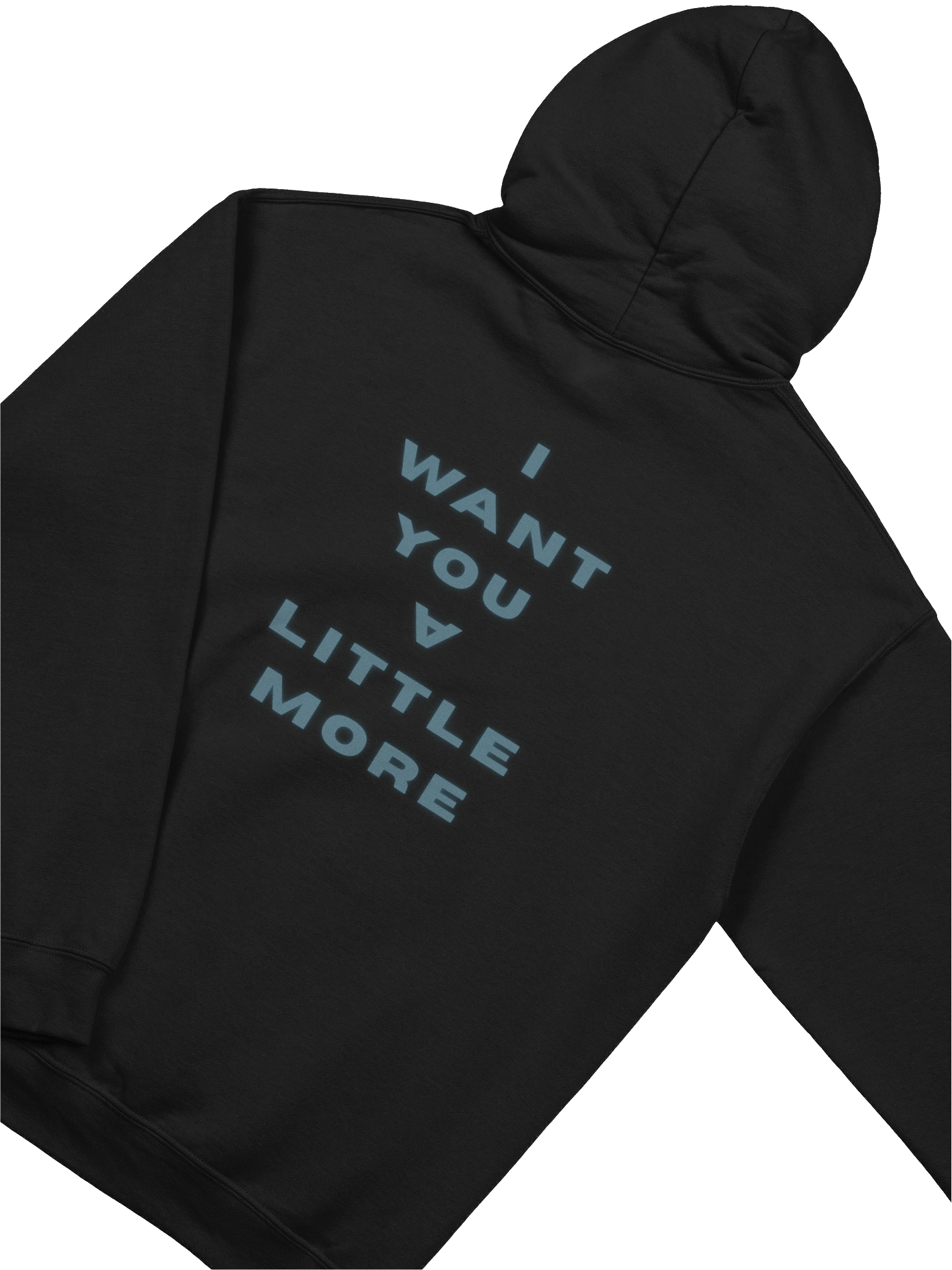DAVID LEE HEAVY BLEND HOODIE product image (4)